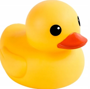 ducky
